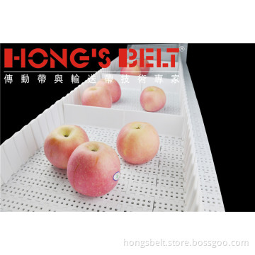 The Fruit Industry Food Grade Modular Conveyor Belt with Cleats